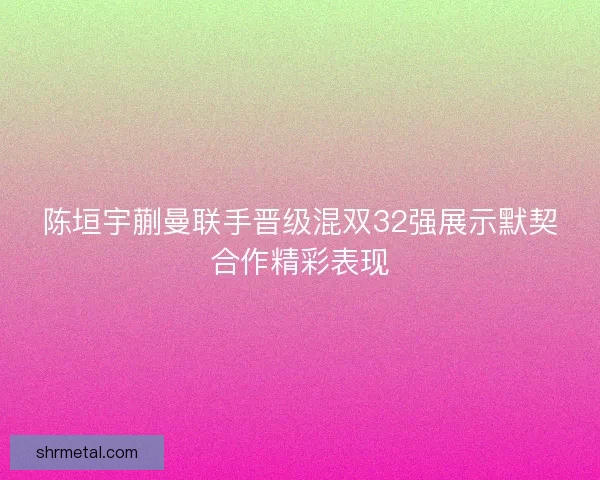陈垣宇蒯曼联手晋级混双32强展示默契合作精彩表现 陈垣宇蒯曼联手晋级混双32强展示默契合作精彩表现